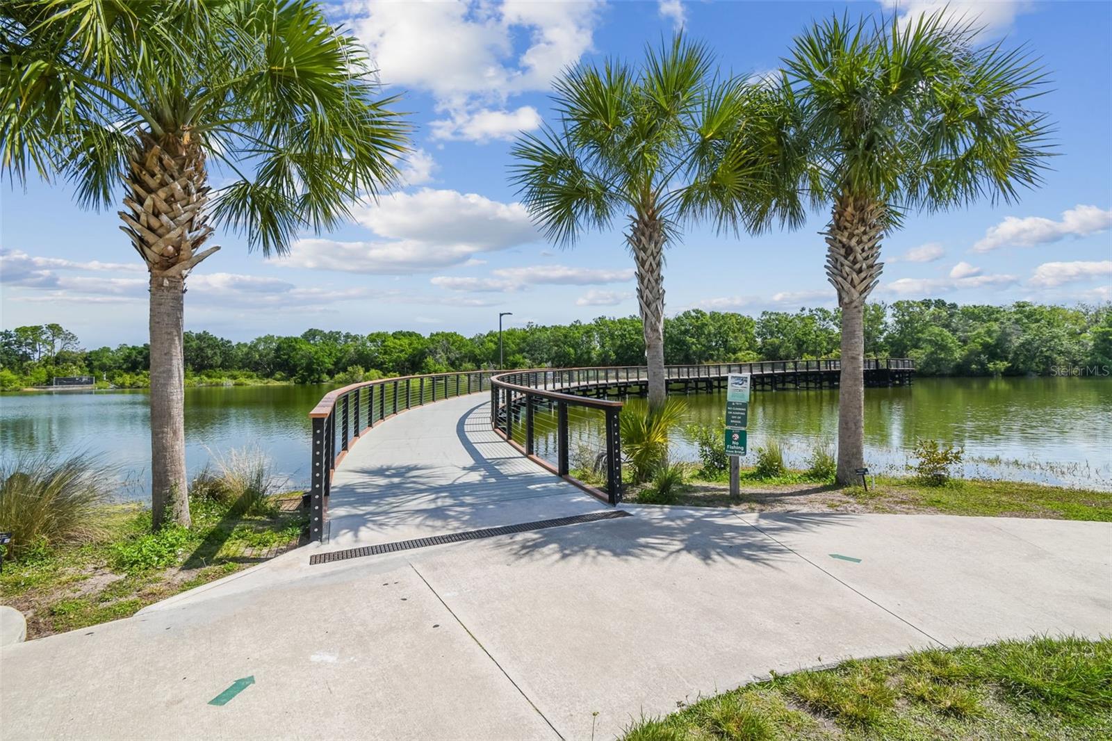 CARROLLWOOD COVE AT EMERALD GR - Residential