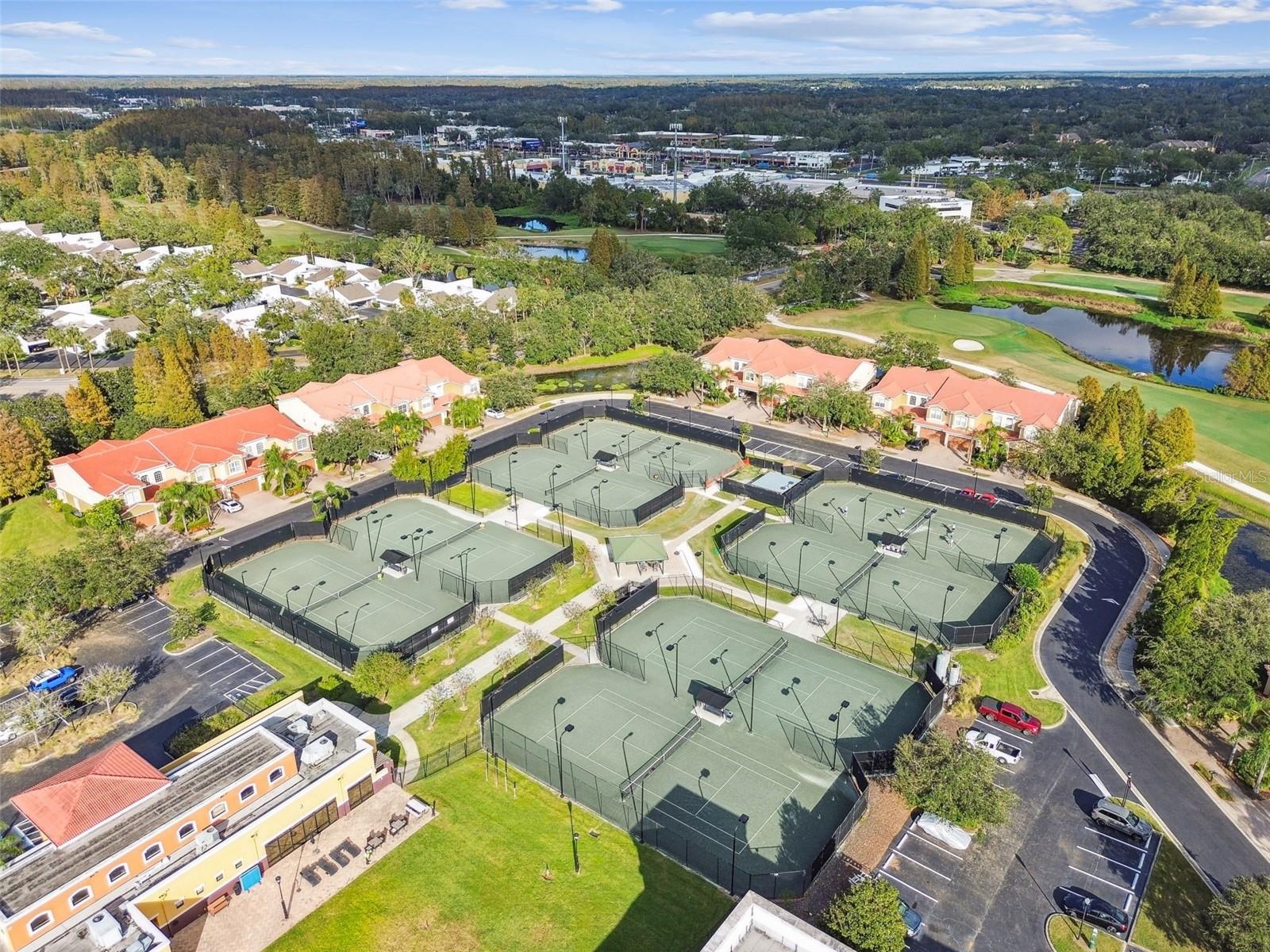 CARROLLWOOD COVE AT EMERALD GR - Residential