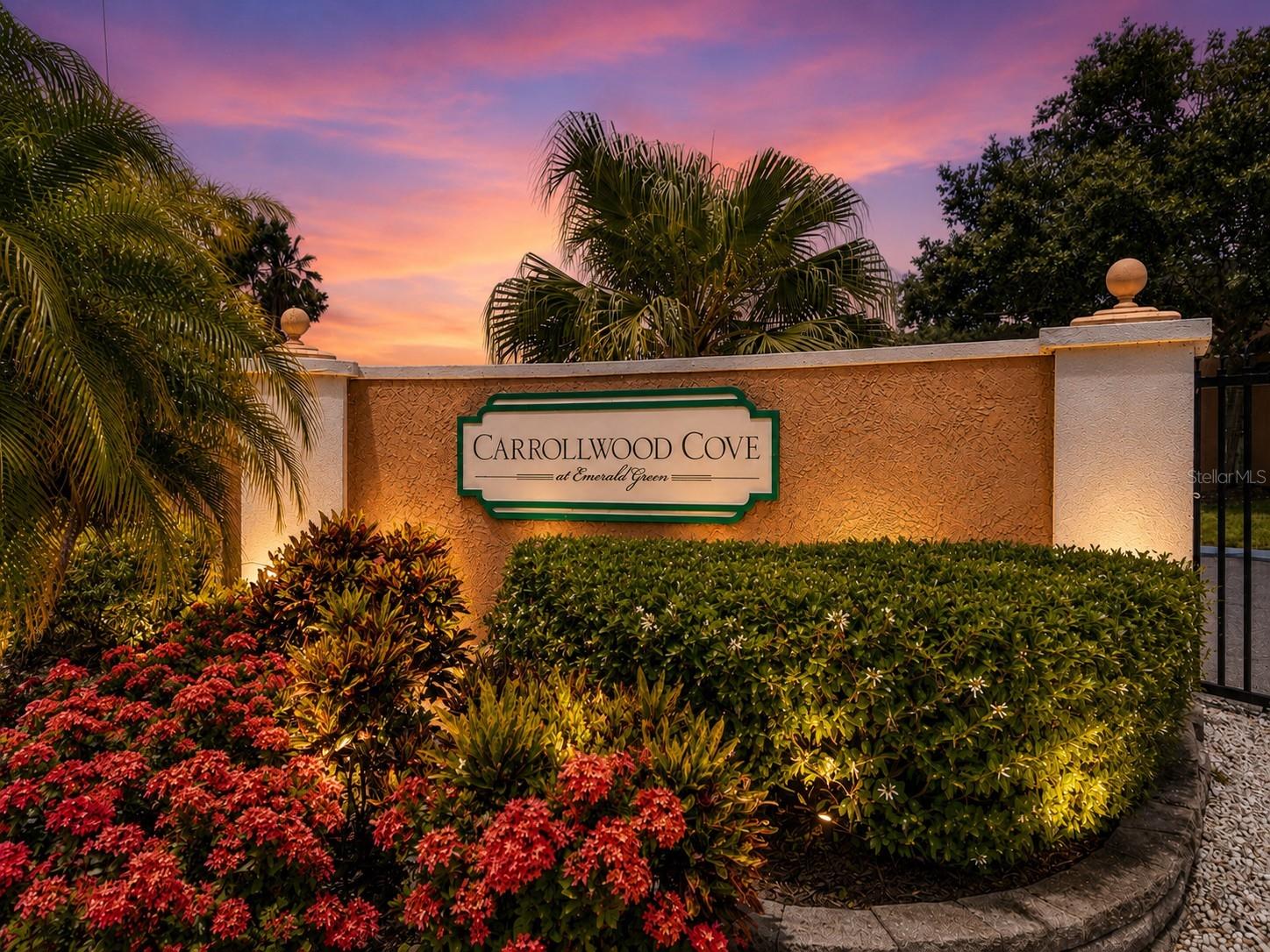 CARROLLWOOD COVE AT EMERALD GR - Residential