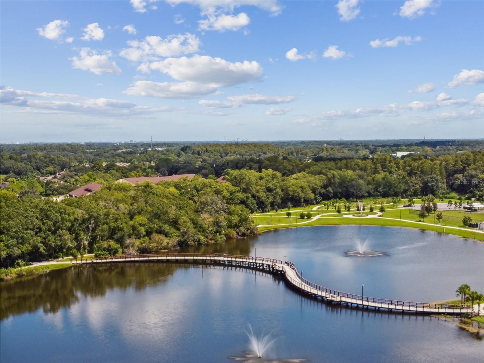 CARROLLWOOD COVE AT EMERALD GR - Residential
