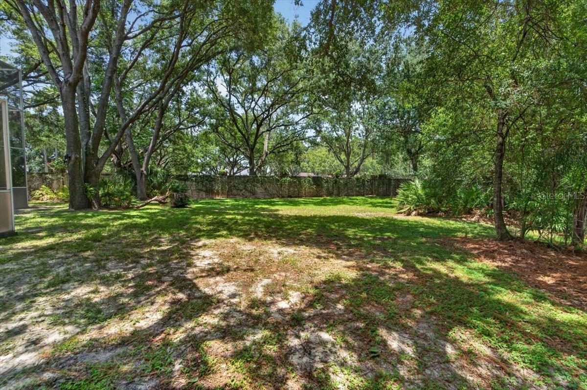 THE RESERVE AT TAMPA PALMS - Residential