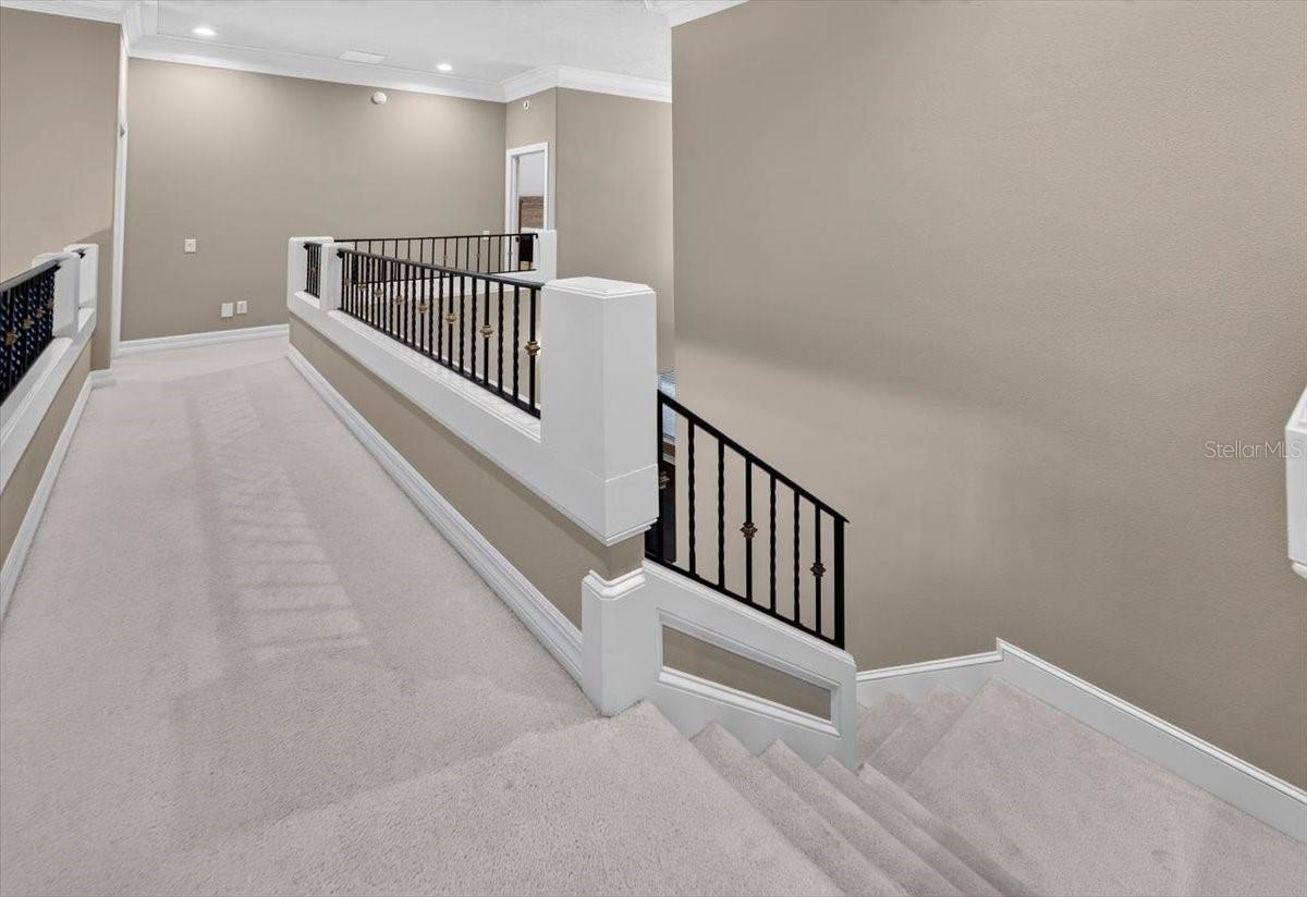 THE RESERVE AT TAMPA PALMS - Residential