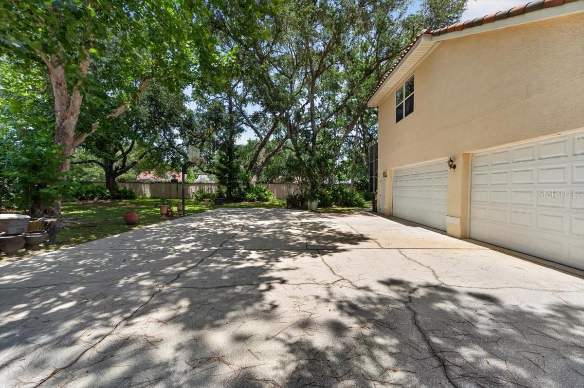 THE RESERVE AT TAMPA PALMS - Residential