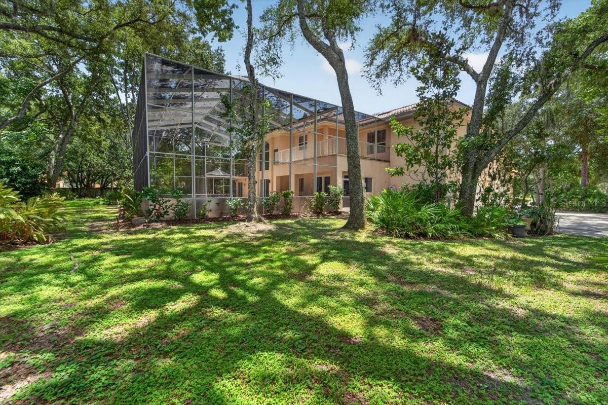 THE RESERVE AT TAMPA PALMS - Residential