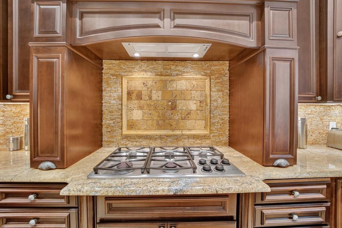 THE RESERVE AT TAMPA PALMS - Residential