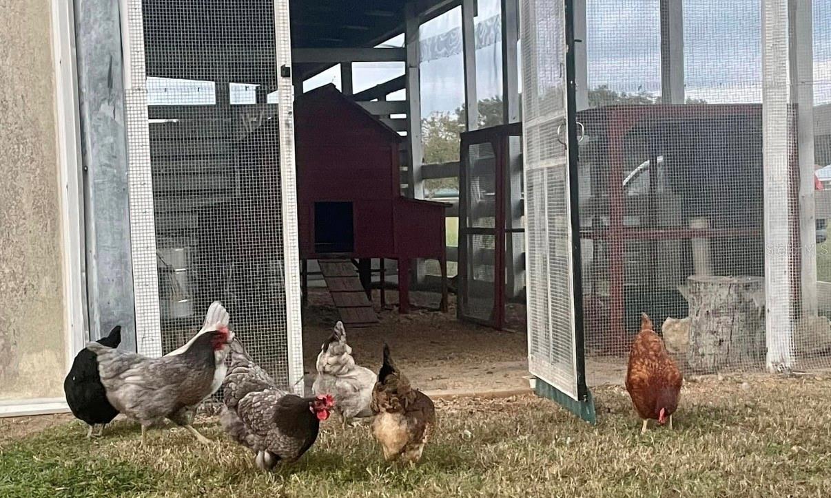 FOXBOROUGH FARMS - Residential