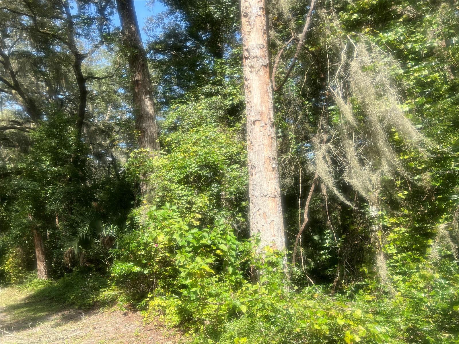 Great opportunity to obtain 1.67 acres of land in beautiful De Leon Springs. This lot has frontage views along two  paved roads.  Access to electricity and internet connectivity through local utility services.Areas of the land have already been cleared, with loads of dirt already placed, ready to be built on. Call me before is gone.
