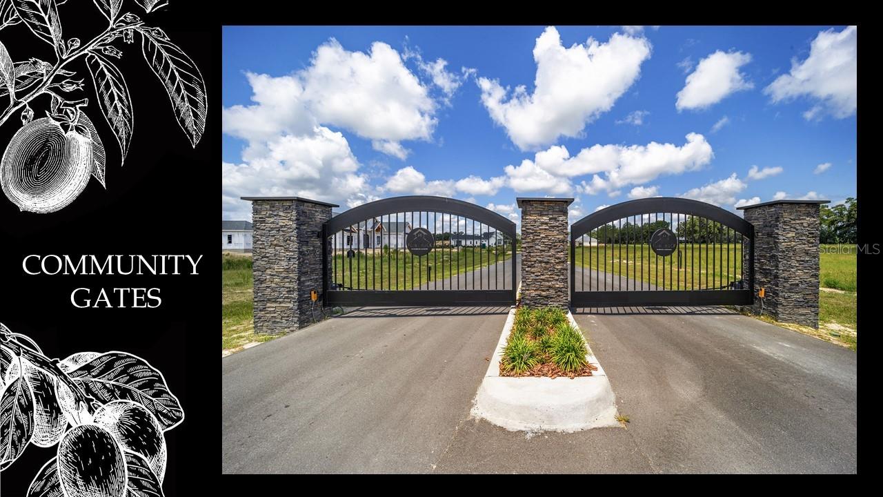FLINT ROCK AGRIHOOD - Land