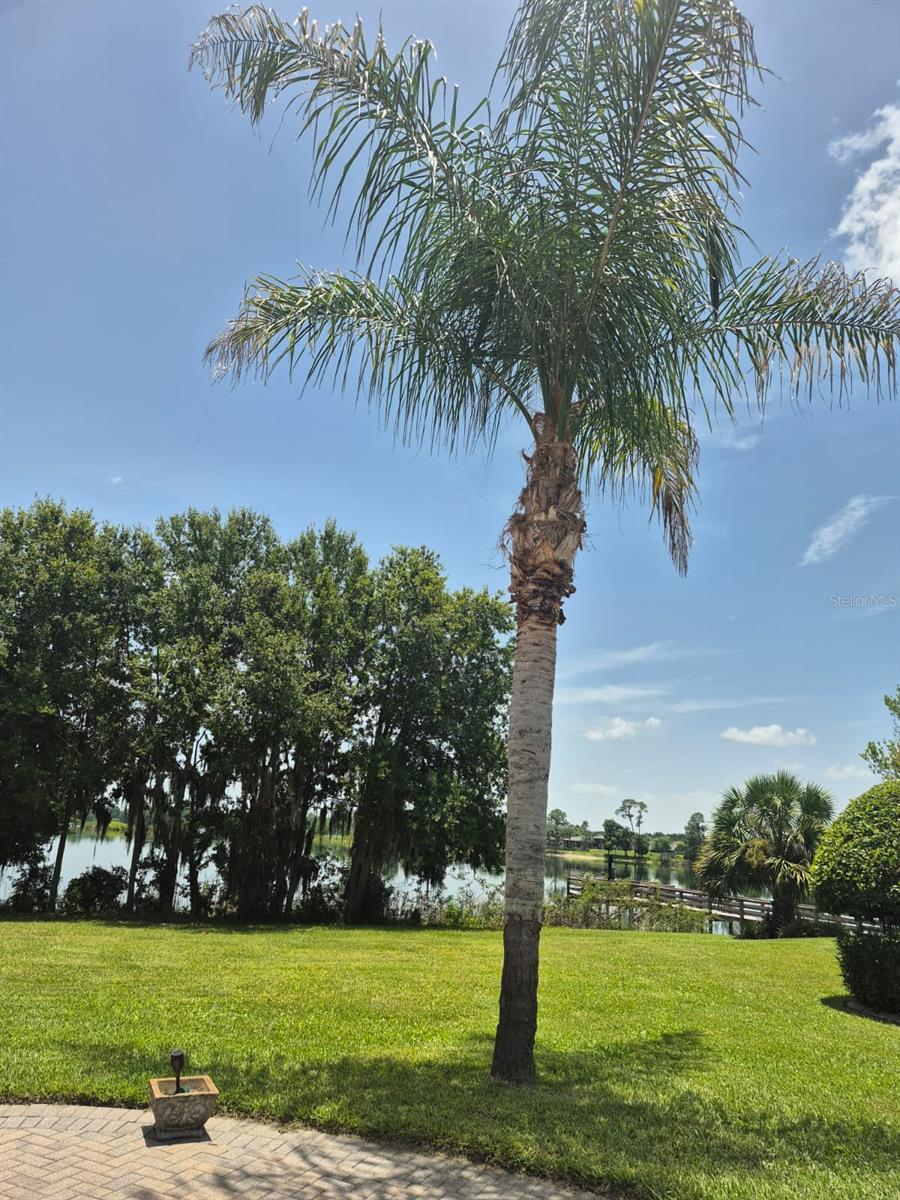MT OLIVE SHORES NORTH ADD 04 - Residential