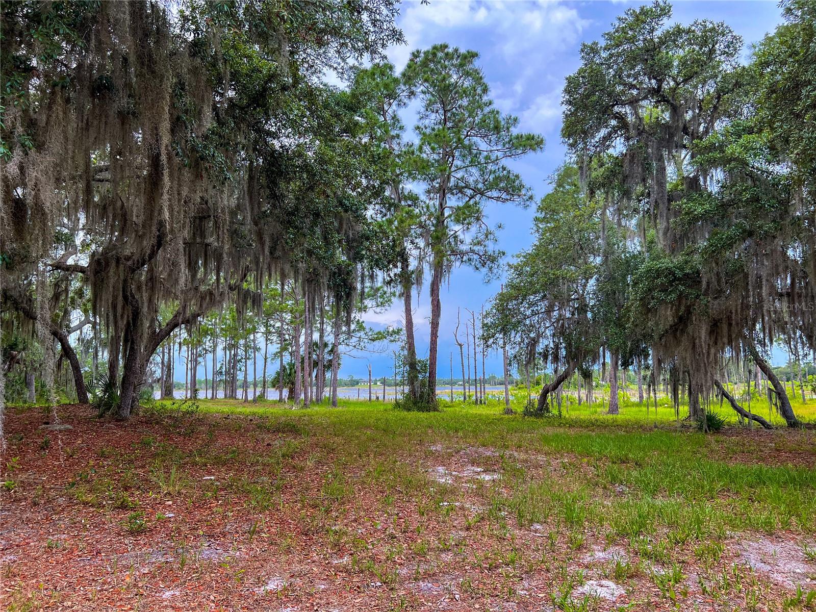 MITCHELL ISLAND AREA ACREAGE - Land