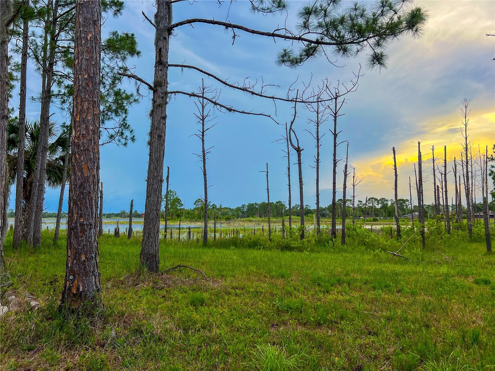 MITCHELL ISLAND AREA ACREAGE - Land
