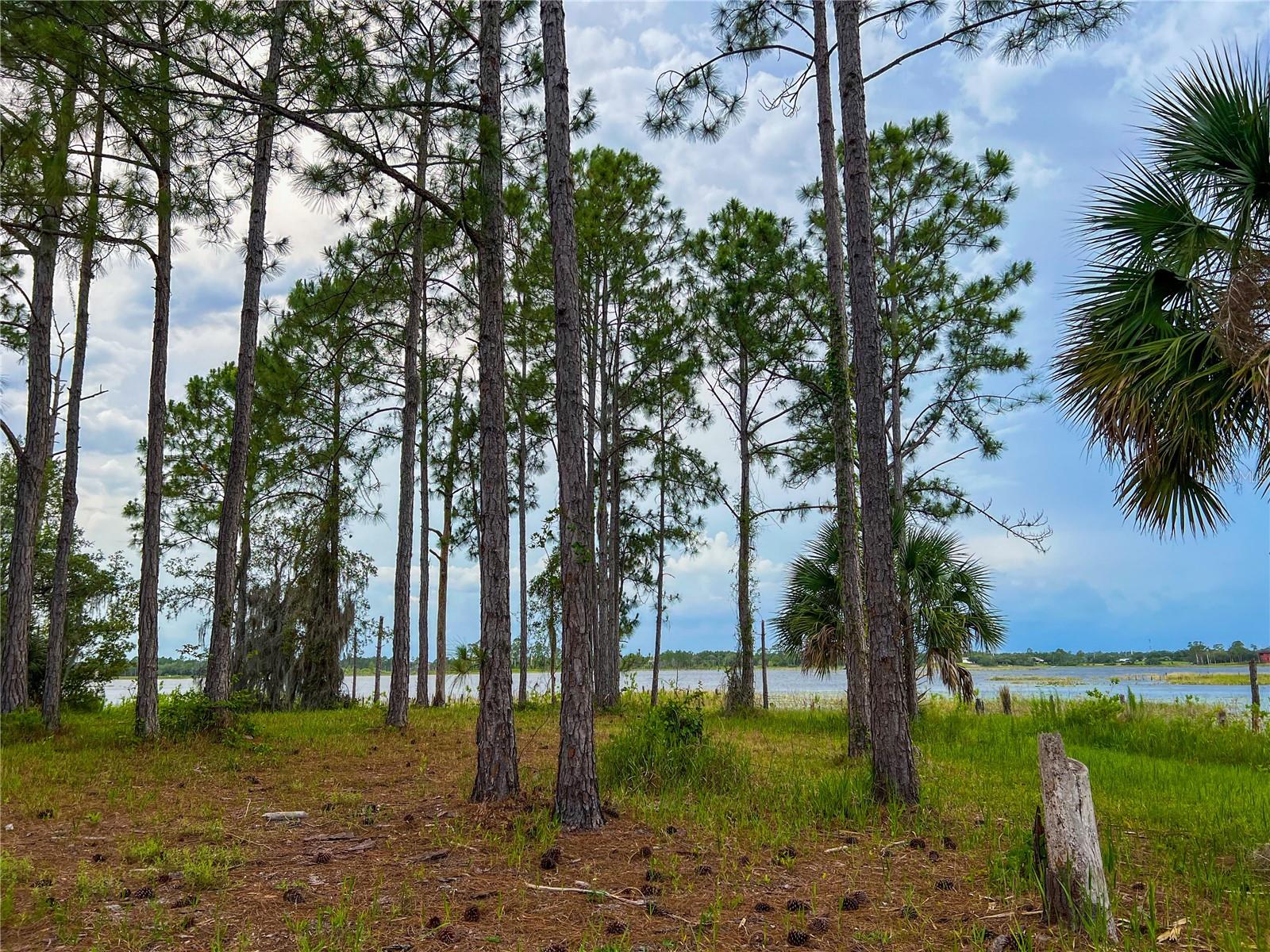 MITCHELL ISLAND AREA ACREAGE - Land