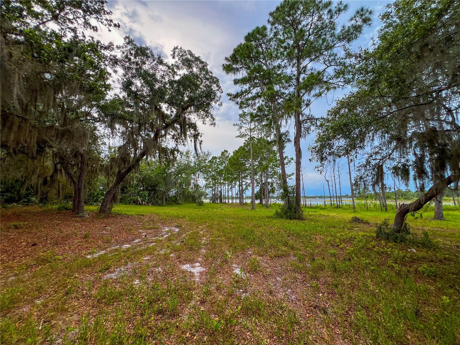 MITCHELL ISLAND AREA ACREAGE - Land