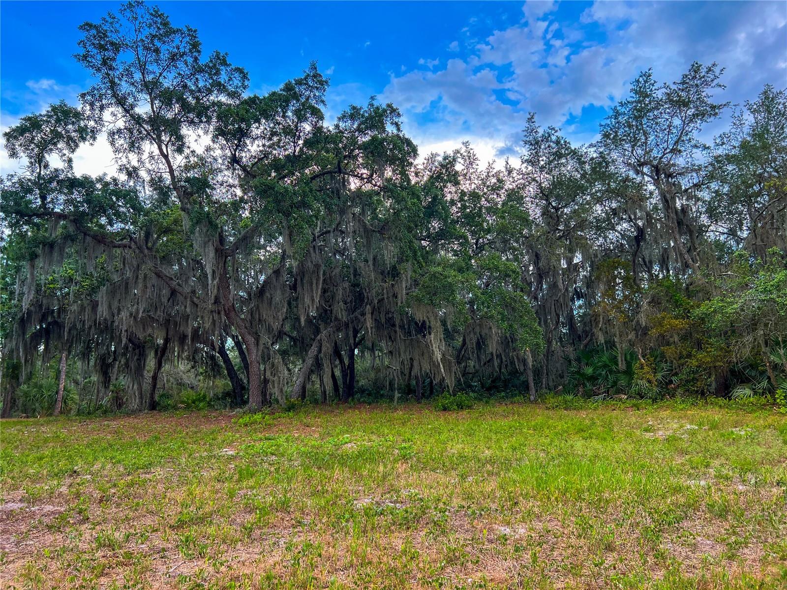 MITCHELL ISLAND AREA ACREAGE - Land