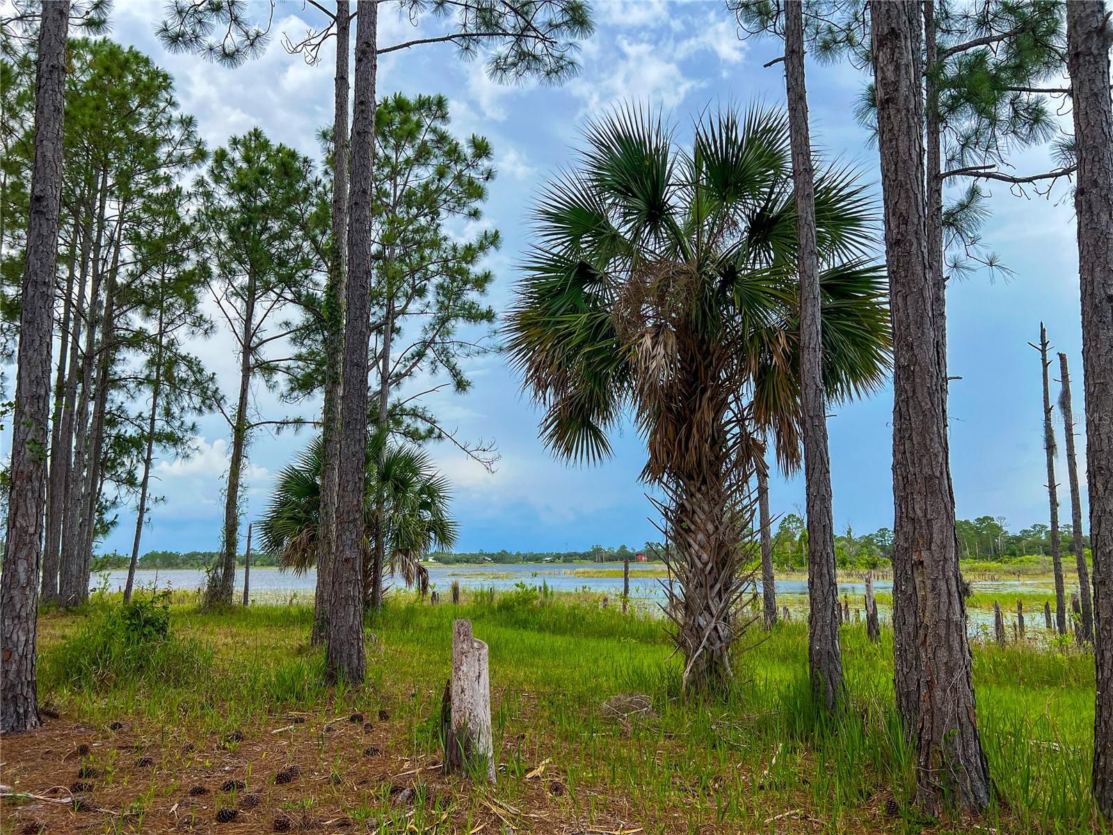 MITCHELL ISLAND AREA ACREAGE - Land