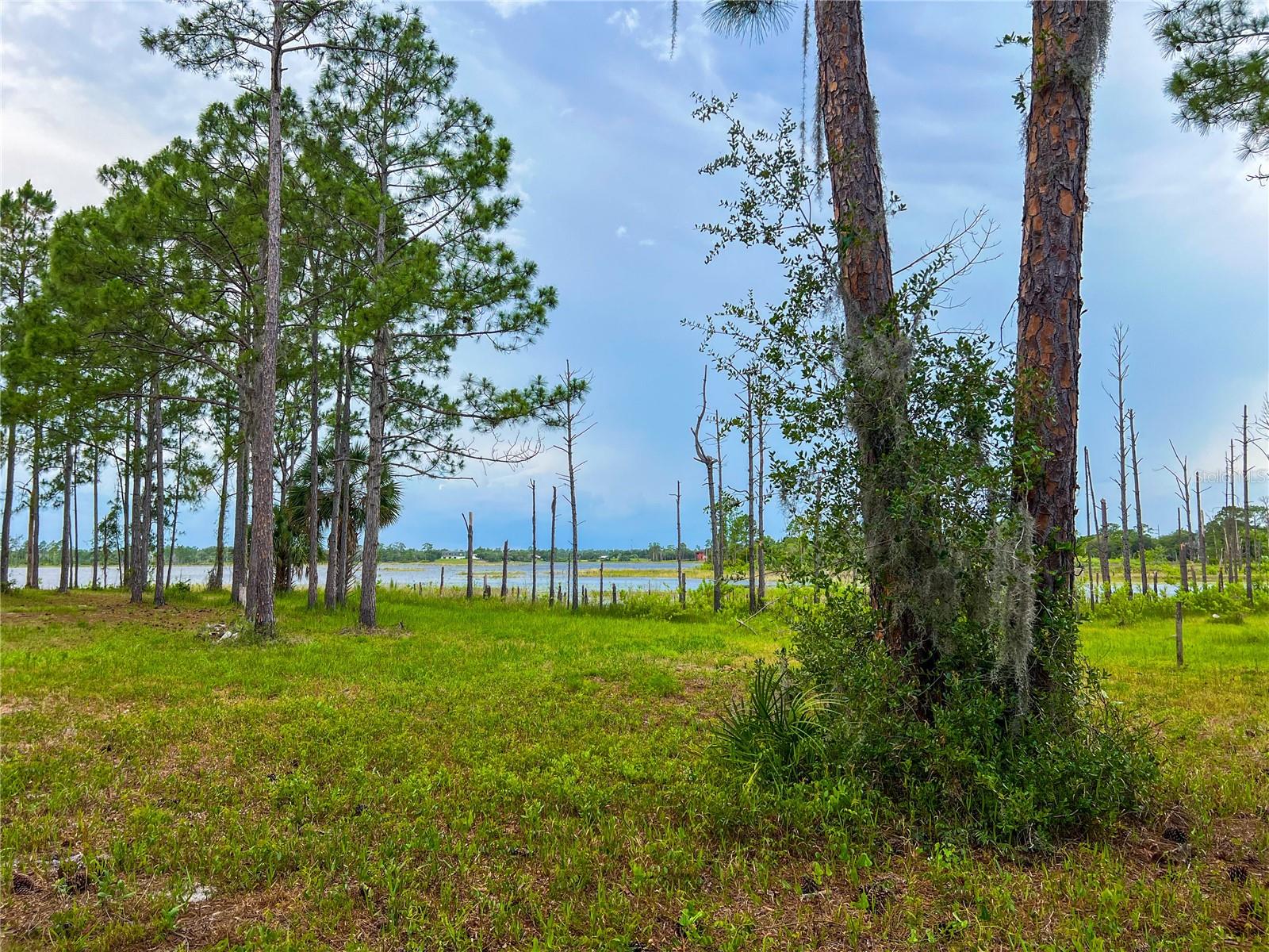 MITCHELL ISLAND AREA ACREAGE - Land
