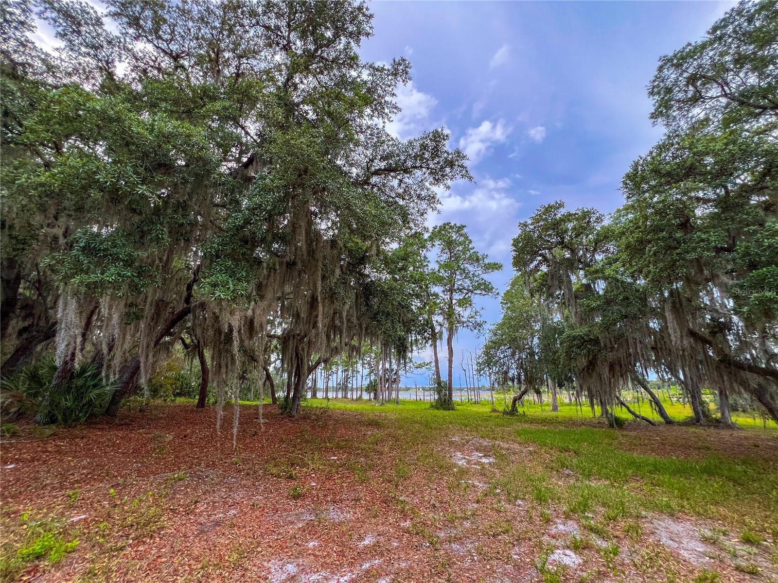MITCHELL ISLAND AREA ACREAGE - Land