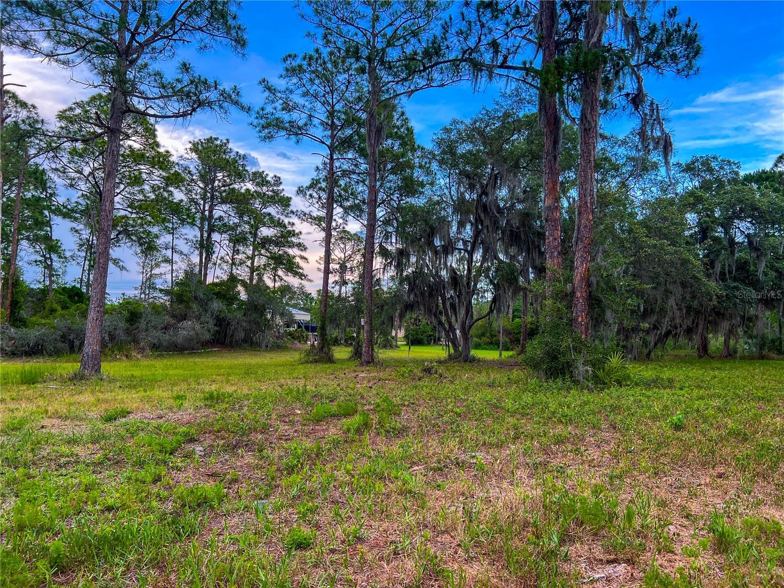 MITCHELL ISLAND AREA ACREAGE - Land
