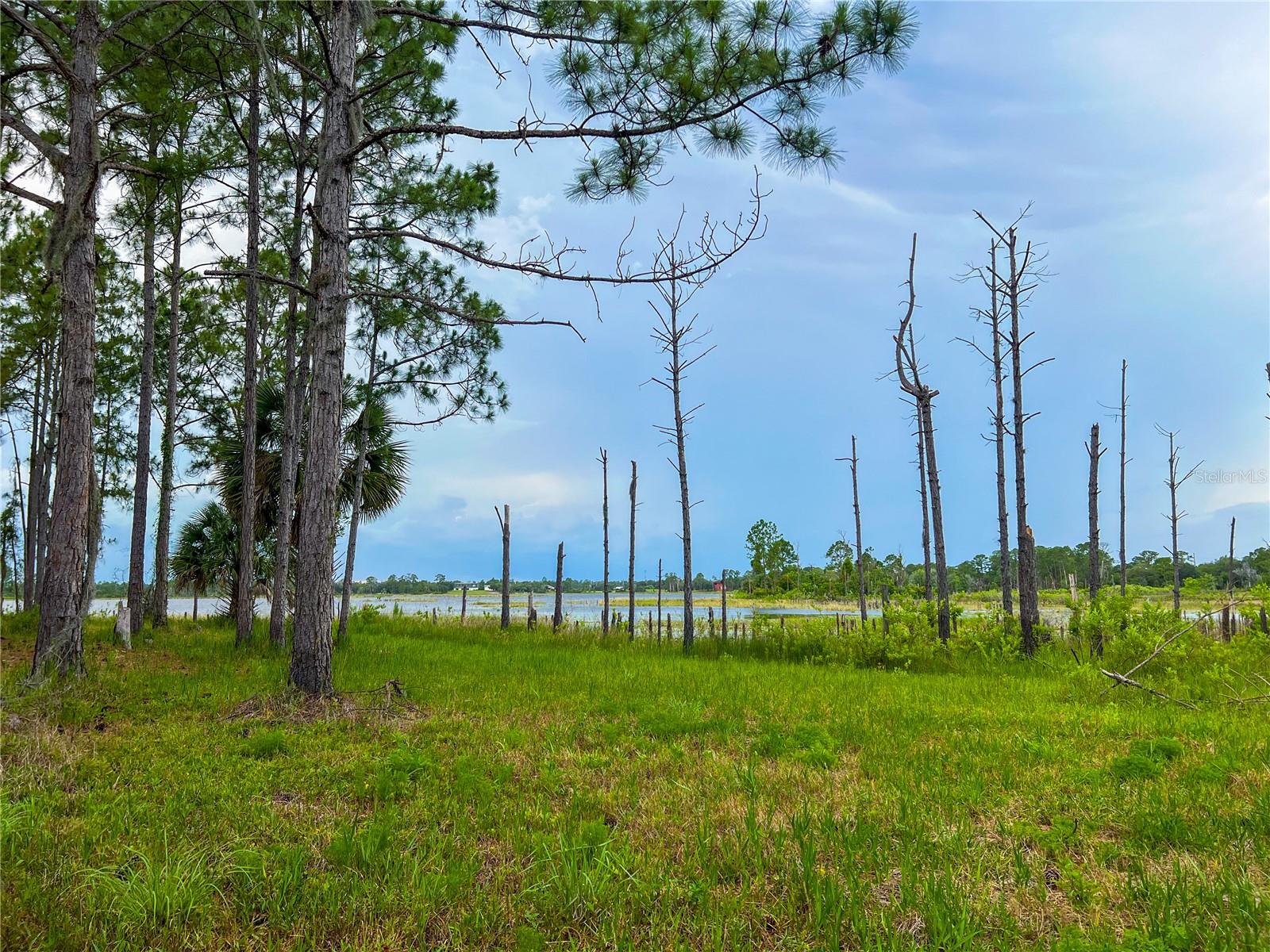 MITCHELL ISLAND AREA ACREAGE - Land