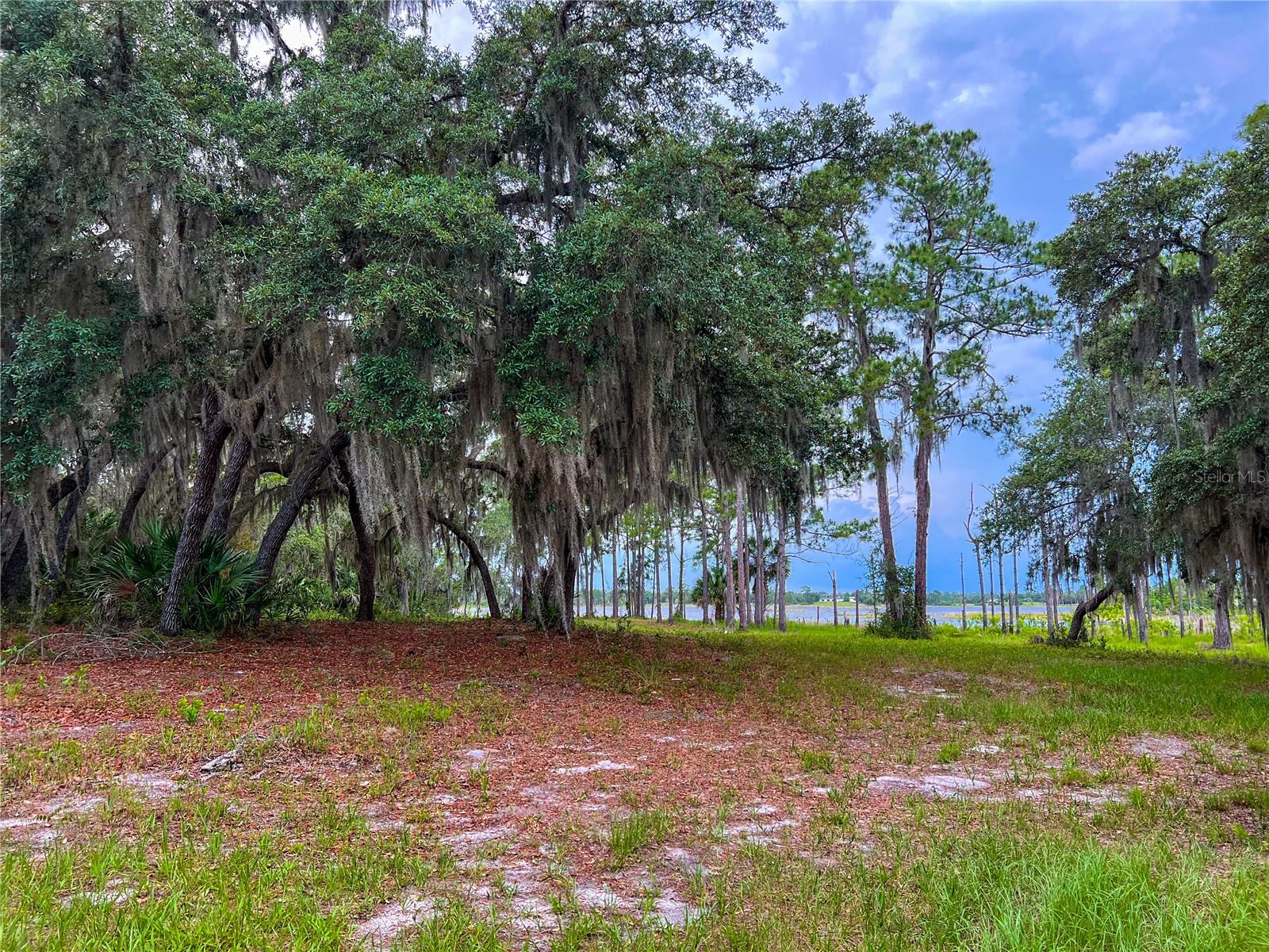 MITCHELL ISLAND AREA ACREAGE - Land