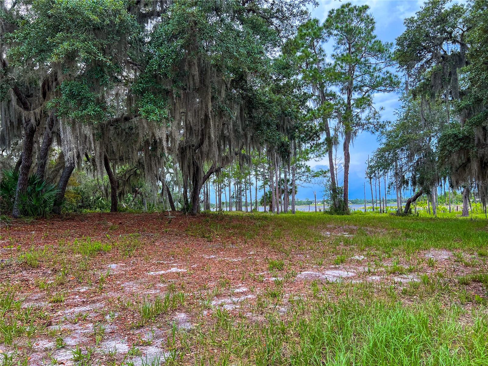 MITCHELL ISLAND AREA ACREAGE - Land