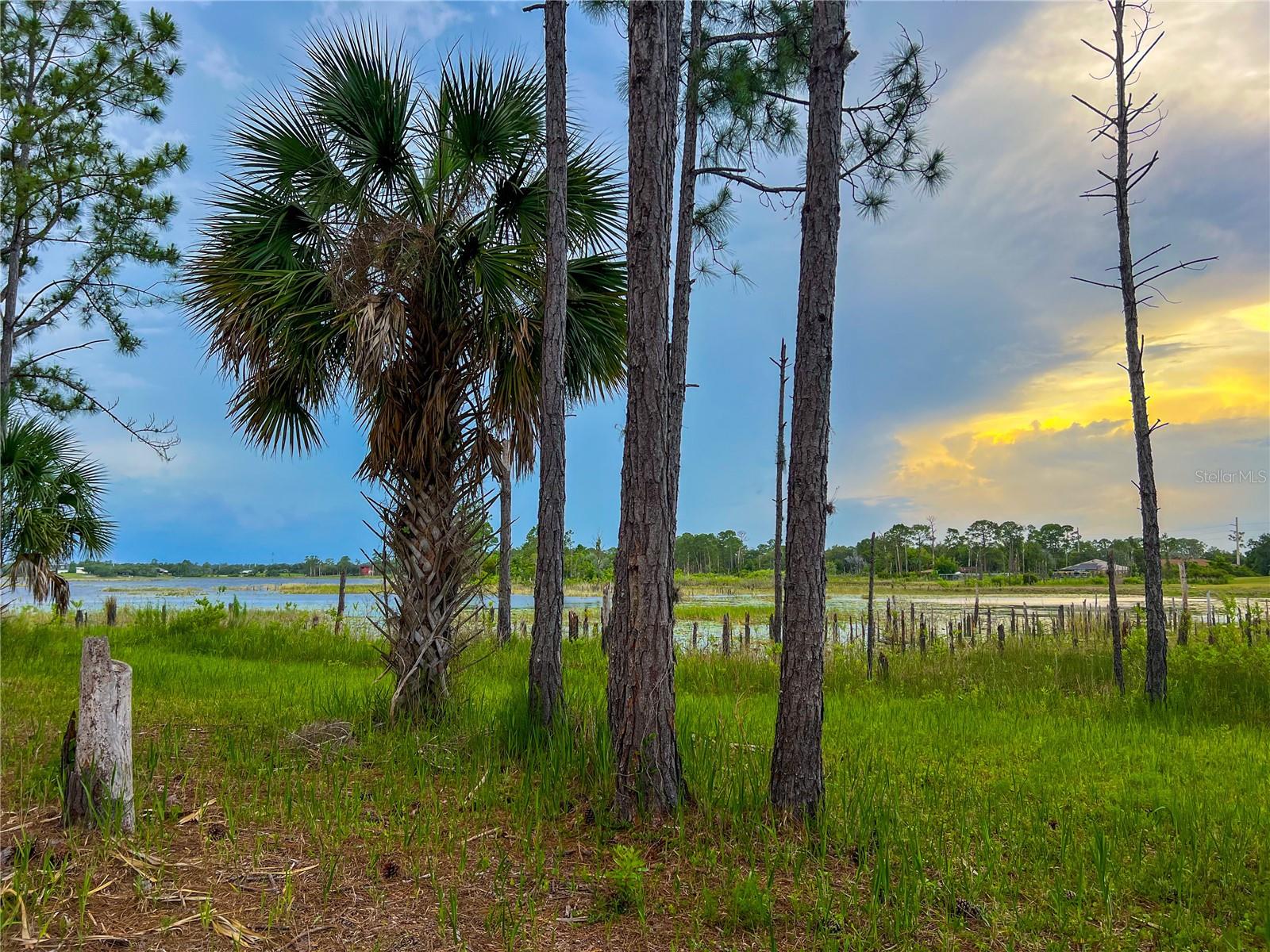 MITCHELL ISLAND AREA ACREAGE - Land