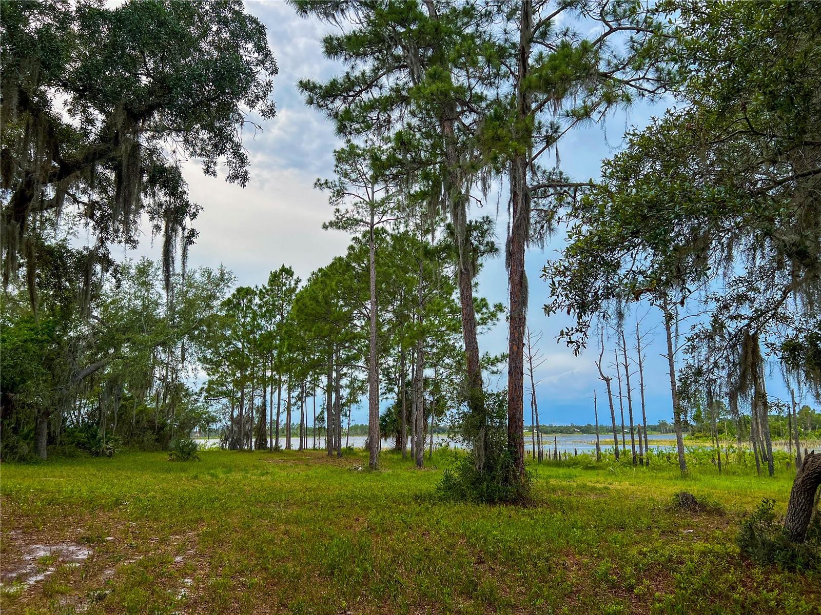 Build your dream home on this beautiful lakefront lot offering nearly 2 acres of peaceful privacy with no HOA. Located on Dupont Lake, this buildable residential parcel is zoned for a single-family home and provides the perfect opportunity to create your own private waterfront oasis. Enjoy serene lake views, plenty of space for your custom home, outdoor living, and the possibility to add a dock for fishing, kayaking, or relaxing by the water. Conveniently located near shopping, restaurants, schools, major roadways, Orlando, and the beaches while still offering a quiet, nature-filled setting. Bring your vision to life on this rare lakefront property.