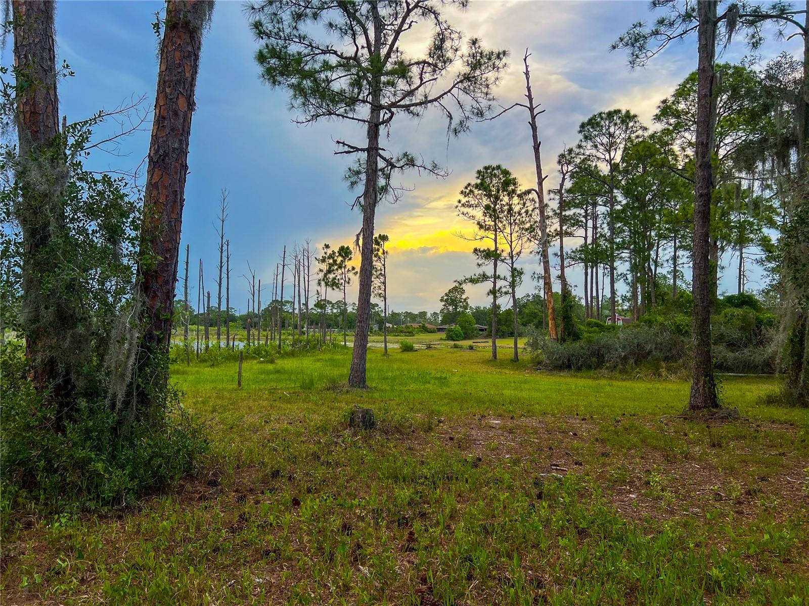 MITCHELL ISLAND AREA ACREAGE - Land