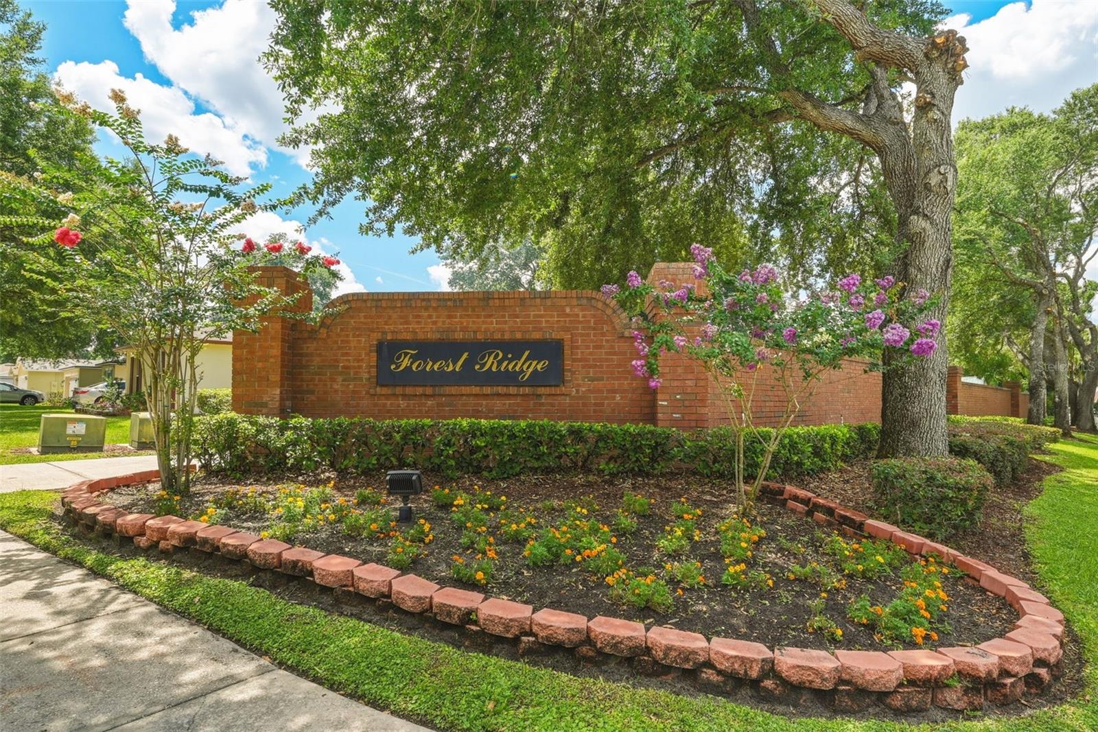 FOREST RDG/OCOEE - Residential