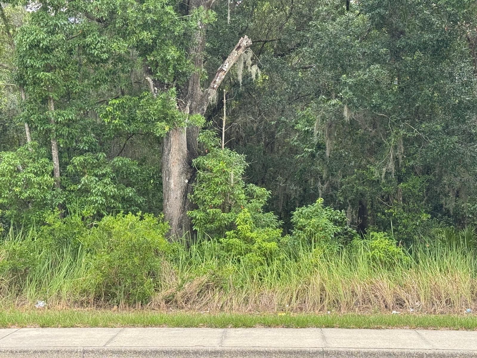 Rare opportunity to own this beautiful 3.91-acre A-1 parcel in Ocala, the Horse Capital of the World. Fronting four-lane SE Maricamp Road, this property is bordered by roads on the north, east, and south sides, providing excellent access and added privacy, with neighboring property only on the west side. Located in Flood Zone X (no flood insurance required by most lenders), it is ideal for your dream home, horse mini farm, or investment. Conveniently located within 5 miles of Publix, Walmart, ALDI, and Walgreens; 6 miles from the scenic Carney Island Recreation Area and beautiful Lake Weir; 10 miles from the renowned Santos Trailhead; 14 miles from historic Downtown Ocala; and only 24 miles from the world-renowned World Equestrian Center. Watch video tour attached.