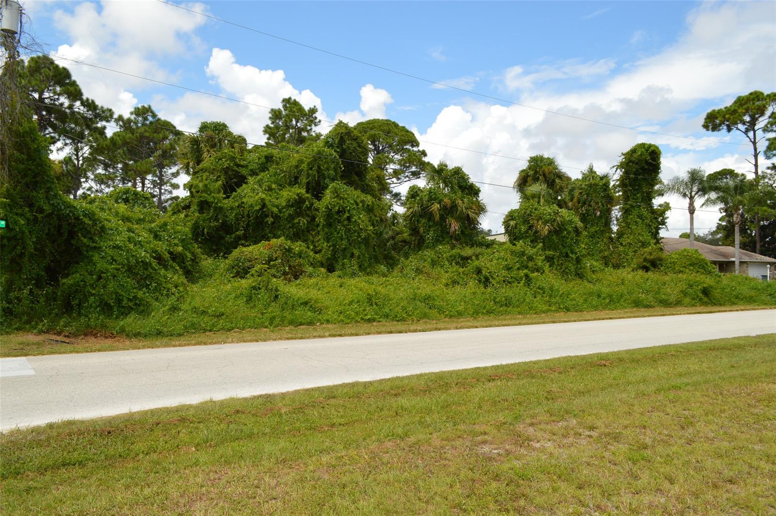 Florida Shores 01 - Land