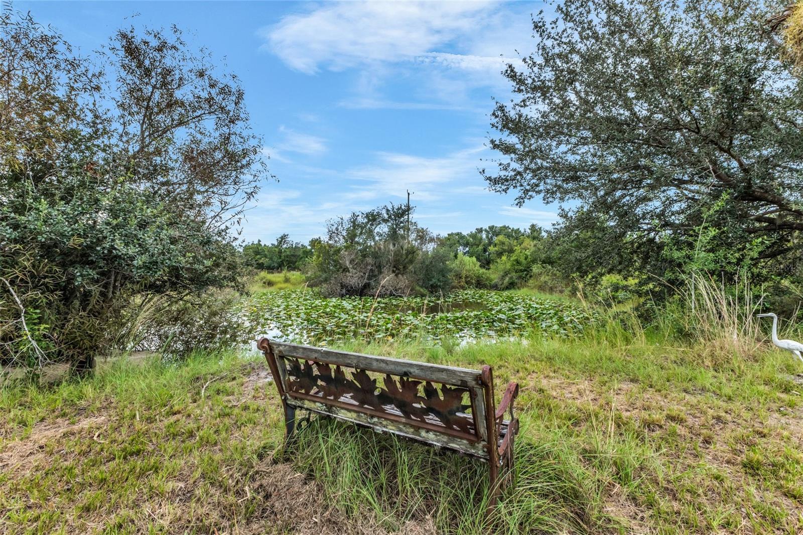 PUNTA GORDA - Residential