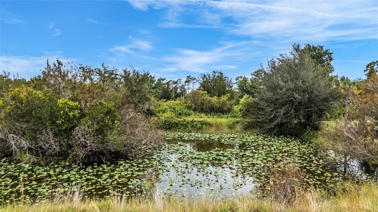 PUNTA GORDA - Residential