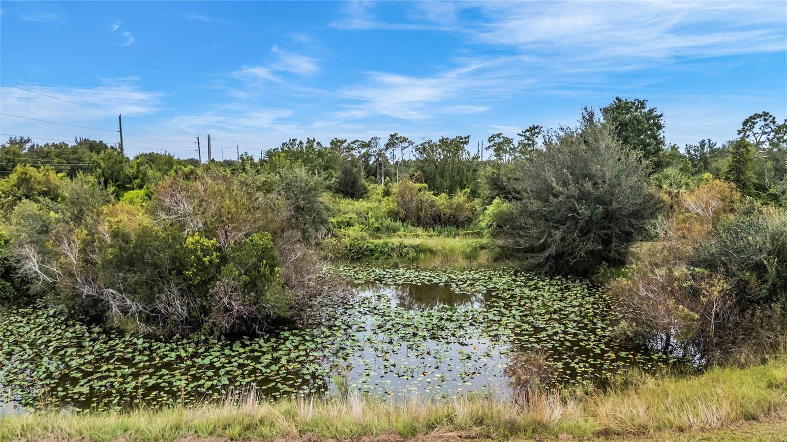 PUNTA GORDA - Residential