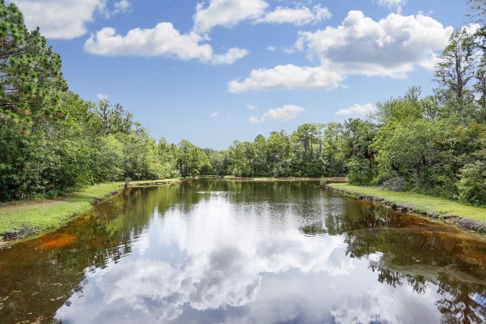 WESTCHASE SEC 372 & PARK SITE - Residential
