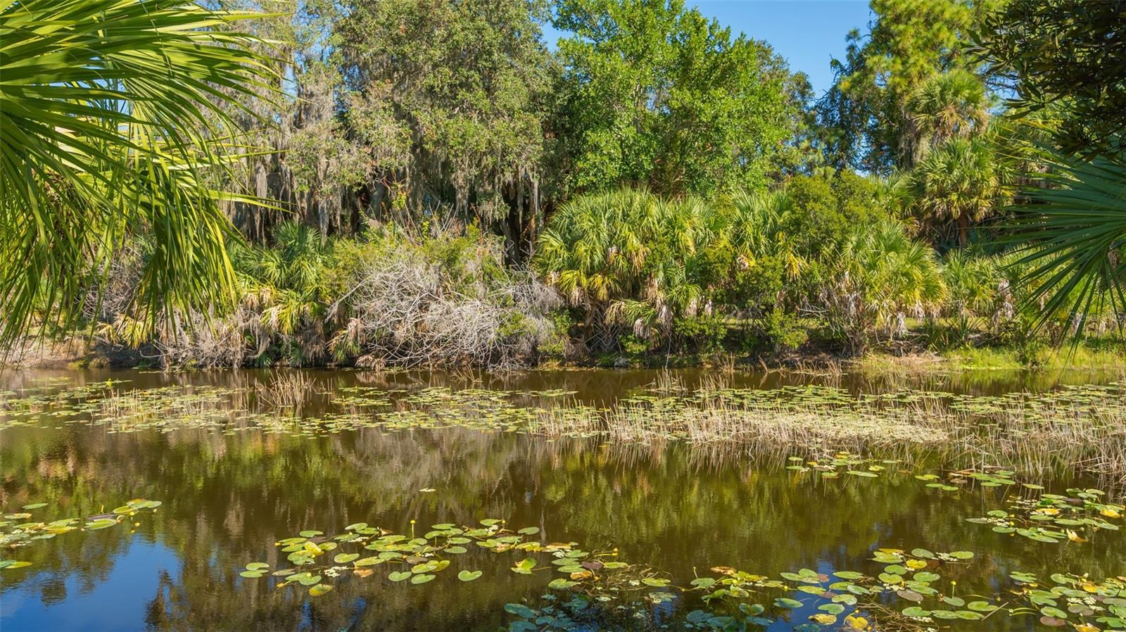 SANDHILL PRESERVE - Residential