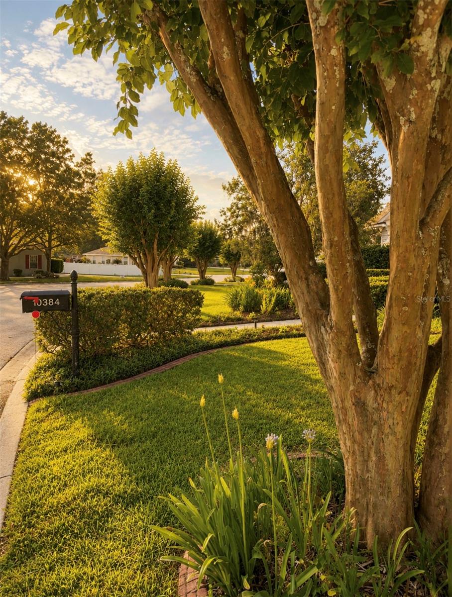 COBBLESTONE PH I - Residential