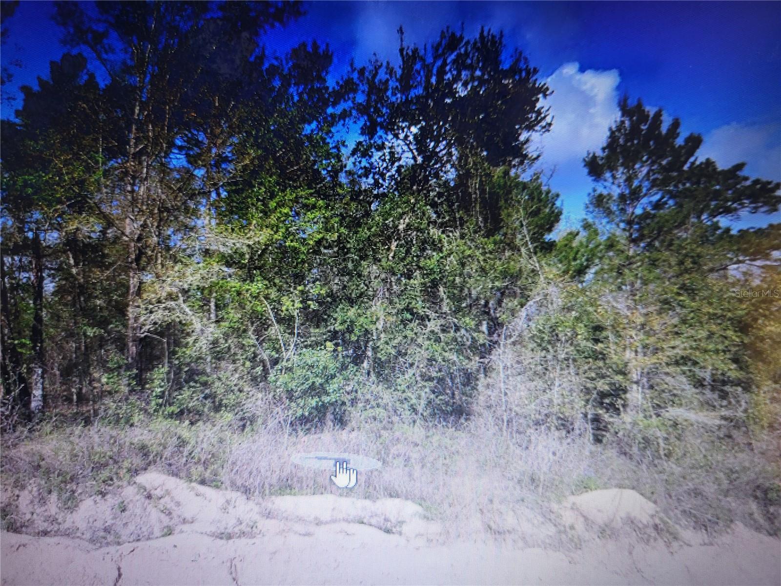 TROUT LAKE SHORES - Land