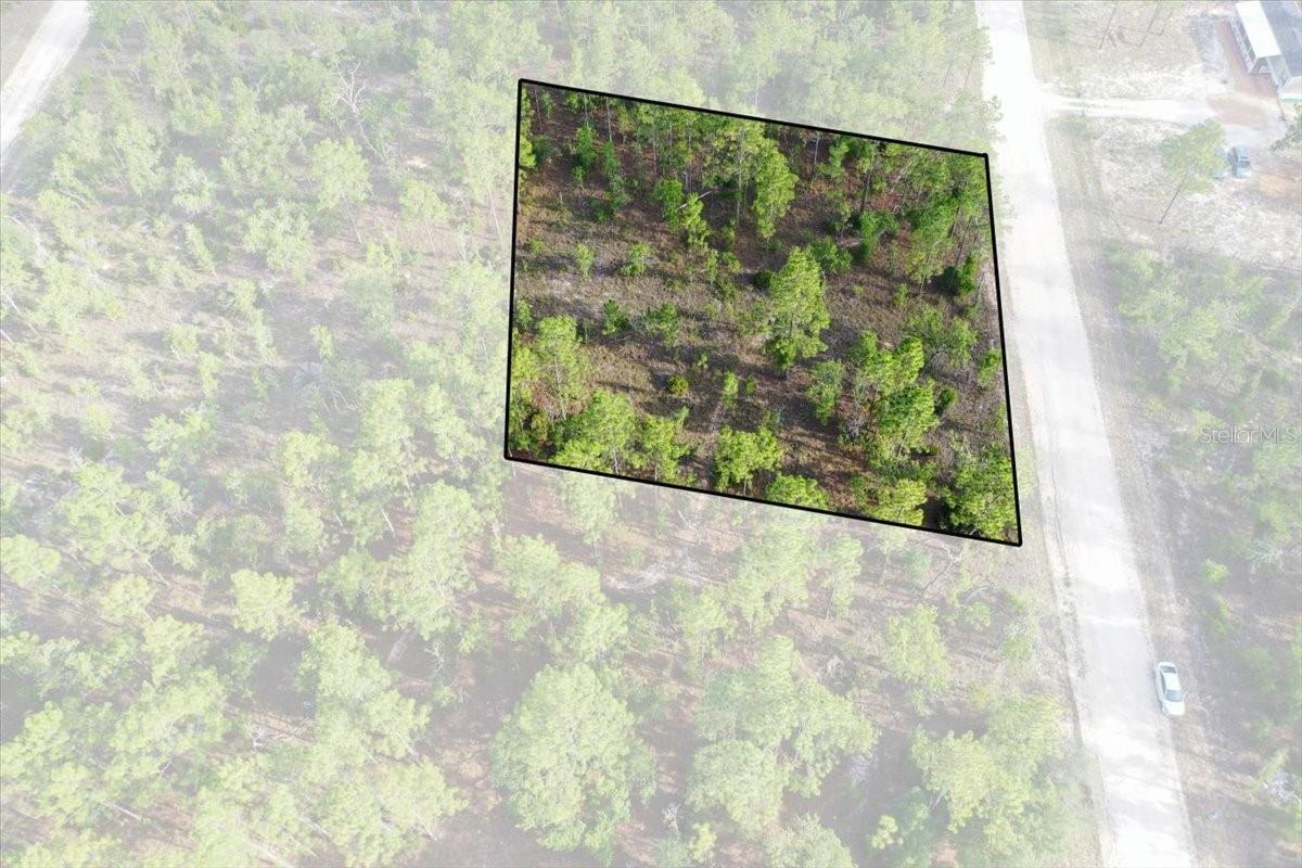 Rare opportunity to own up to 10 acres in Williston Highlands! This unique offering includes ten adjoining 1-acre lots available for purchase together or individually, giving you the flexibility to build your dream home, create a private retreat, or invest in Florida land. Enjoy plenty of room for your home, workshop, RV, boats, horses, and all your outdoor toys in a peaceful country setting just minutes from Williston's amenities. Located in the heart of Florida's Horse Country, the property is also a short drive to the World Equestrian Center in Ocala, as well as popular attractions like Devil's Den and Blue Grotto springs. Whether you're looking to build now or invest for the future, this property offers privacy, natural beauty, and the freedom to create the lifestyle you've been looking for.