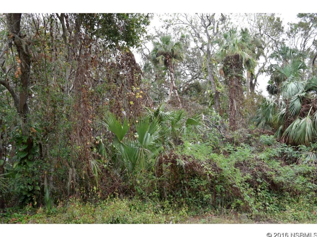 Florida Shores 01 - Land