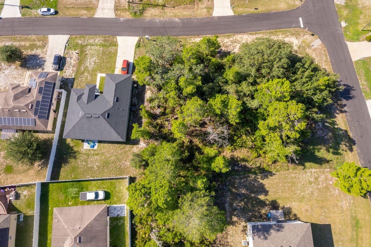 POINCIANA NBRHD 02 VILLAGE 08 - Land