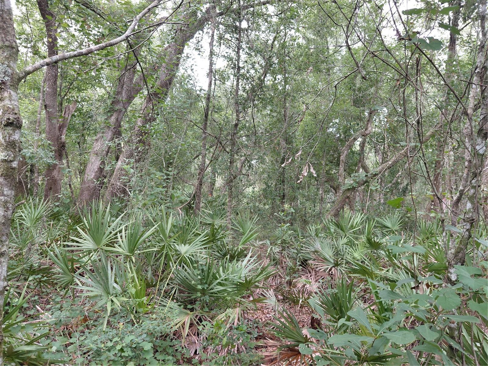 RIDGE MANOR ESTATE - Land