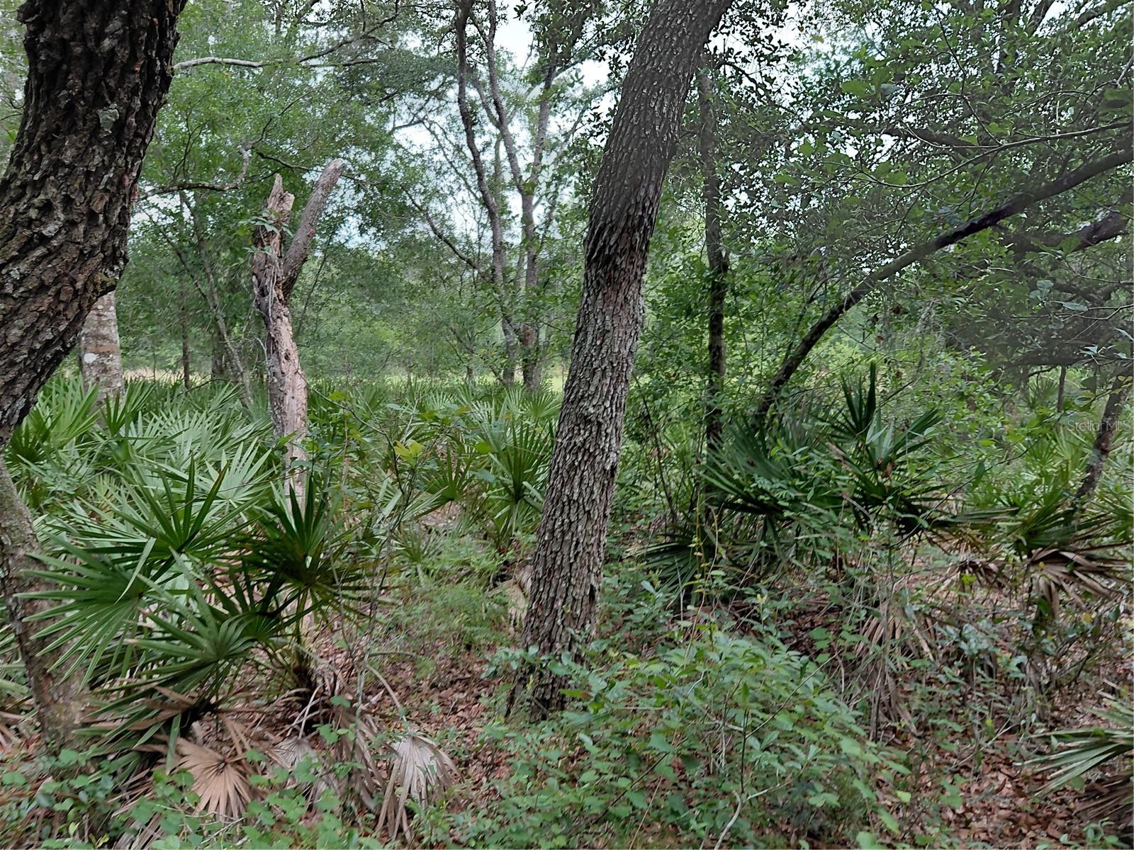 RIDGE MANOR ESTATE - Land
