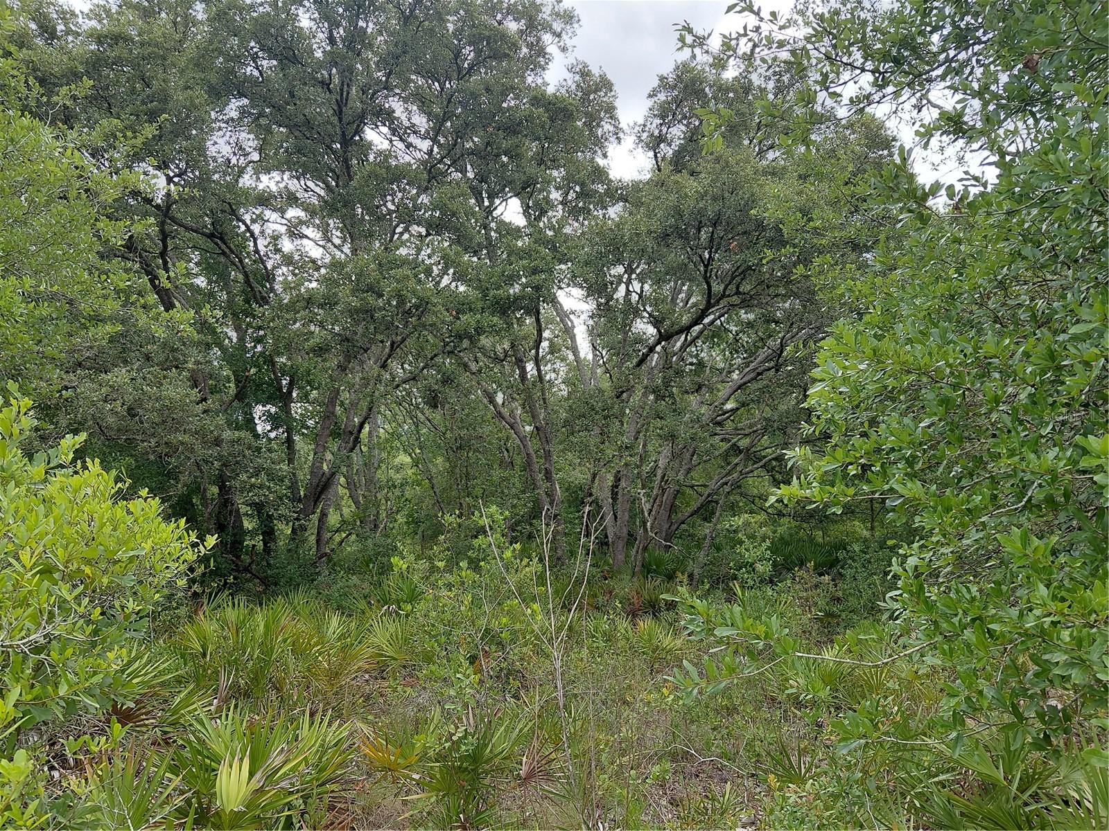 RIDGE MANOR ESTATE - Land