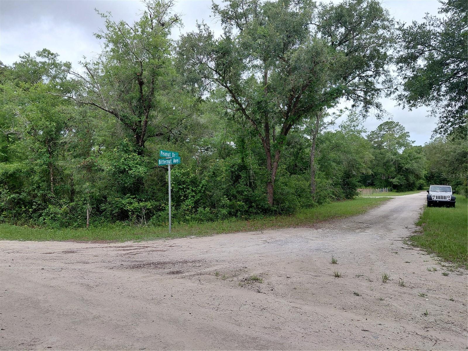 RIDGE MANOR ESTATE - Land