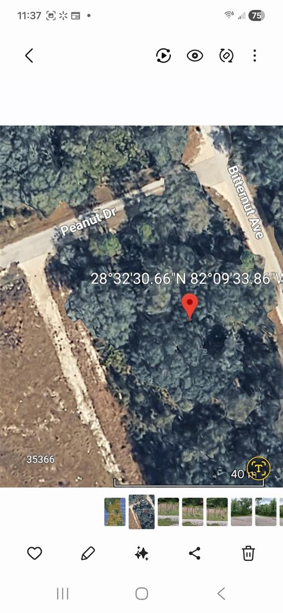 RIDGE MANOR ESTATE - Land
