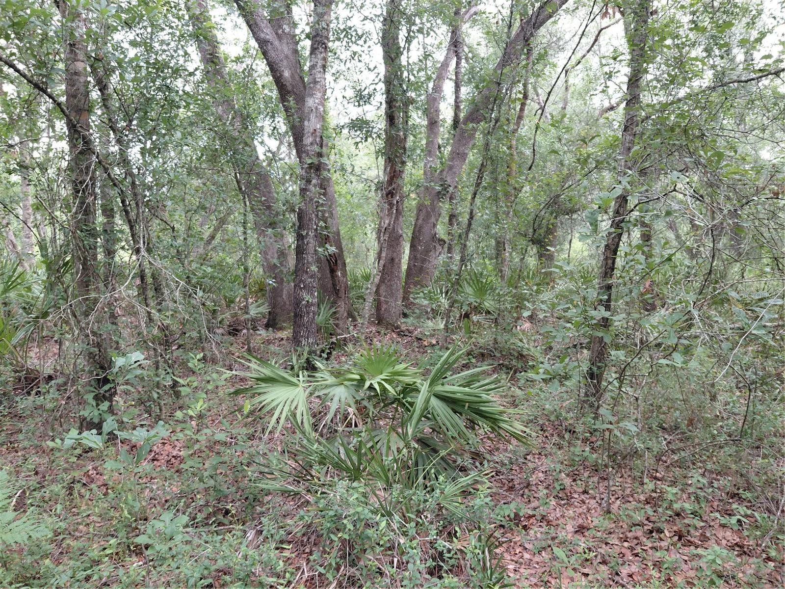 RIDGE MANOR ESTATE - Land