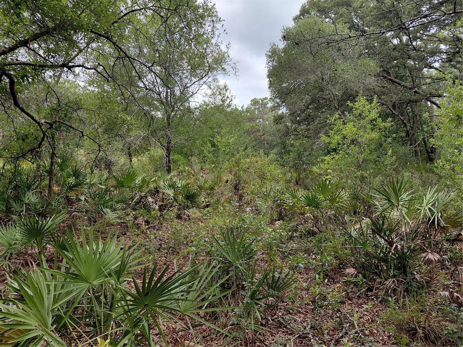 RIDGE MANOR ESTATE - Land