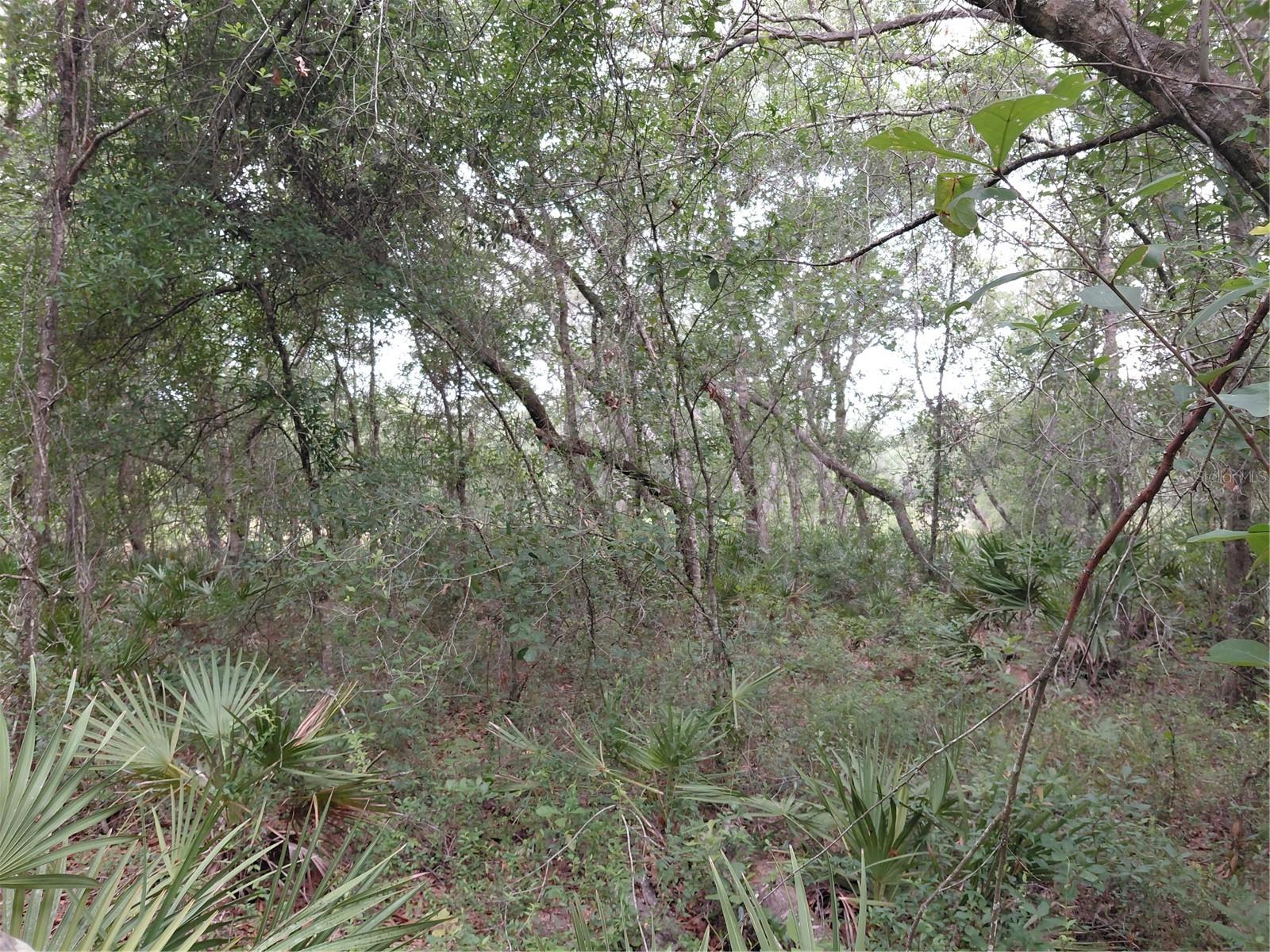 RIDGE MANOR ESTATE - Land