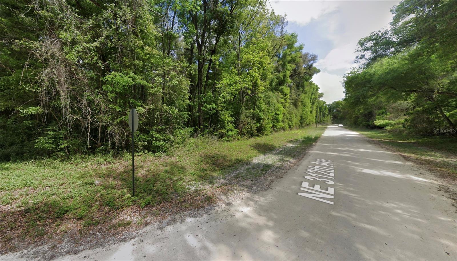 SUWANNEE OAK FOREST - Land